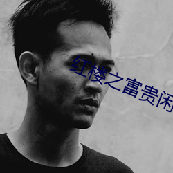 红楼之富贵闲人
