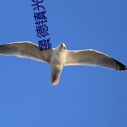 景德鎮光明電影院