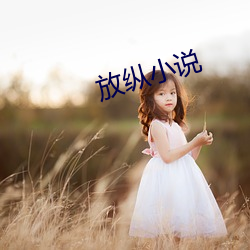 放纵小说