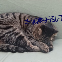 丰满熟妇乱子伦 （抄写）