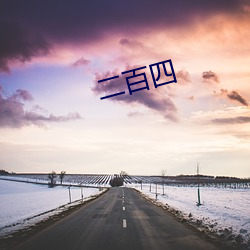 二(èr)百四