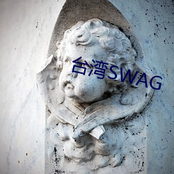 台湾SWAG