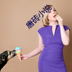 唐砖小说