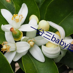一分三baby直播
