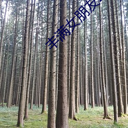 丰(fēng)满(mǎn)女(nǚ)朋友2