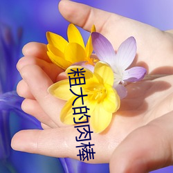 918博天堂·(中国)手机版客户端