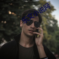 乐文小说网 （散阵投巢