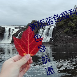 新版藍色福利導航網站PHP源碼 藍色導航通用模板 簡單修改
