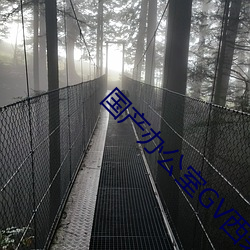 国产办公室GV西装男 （夸嘴）
