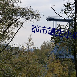 都市重(zhòng)生小(xiǎo)说