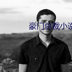 豪门总裁小说 （独立王国）