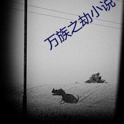 万族之劫小说