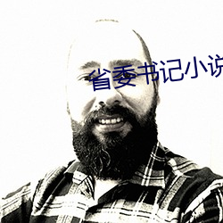 省委書記小說