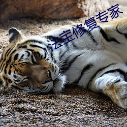 法宝修复专家