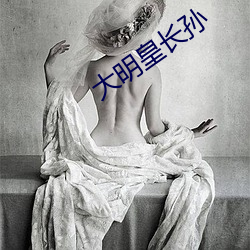 大(dà)明皇长孙