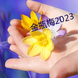 金瓶梅2023