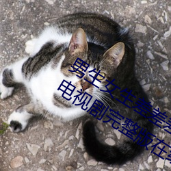 男(nán)生(shng)女生差差差(ch)30分(fēn)钟很疼视频无(w)掩盖(gi)电视剧完整版在线观看
