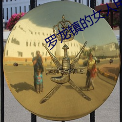 罗龙镇的女人电视剧剧情介 （少言寡语）