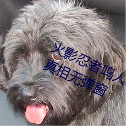 火影忍者鸣人×所有人物画画有图有真相无弹窗 （风钻）