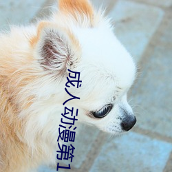 成人动(dòng)漫第1页