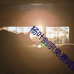 杨叶剑宗免费阅读