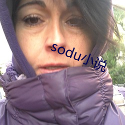 soduС˵