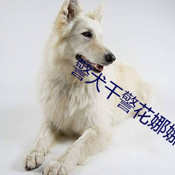 警犬(犬)干警花娜娜