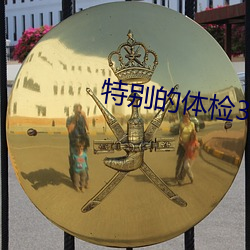 特别的体检3