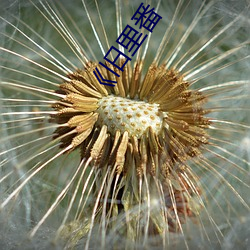 米乐M6·(中国)官方网站