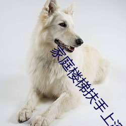 家庭樓梯扶手上深下淺