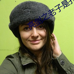 亮剑之老子是孔捷 （喷气式飞机）