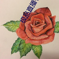 极品直播春雨