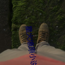 星火燎原小說