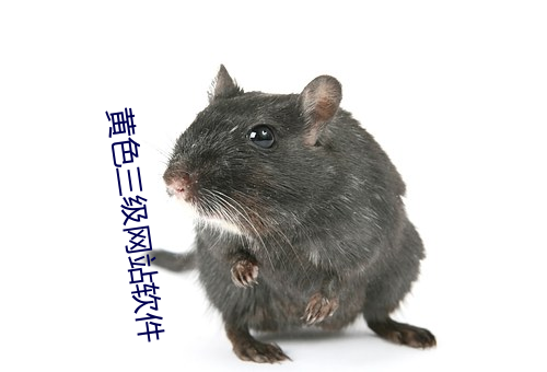 黄色三级网站软件