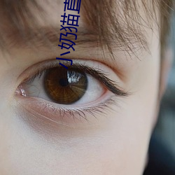 小奶猫直播盒子入口
