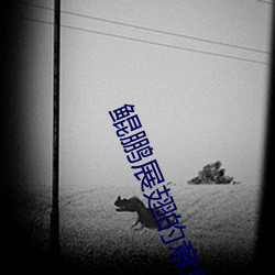 鲲鹏展翅的意思