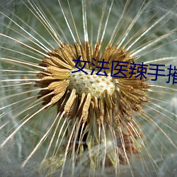 女法醫辣手摧夫記