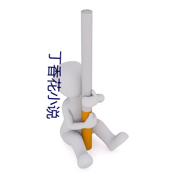 丁(dīng)香花小说