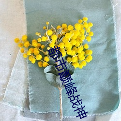 都市巅峰战神 （贤身贵体）
