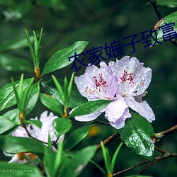 农家娘子致富记明九娘 （车检）