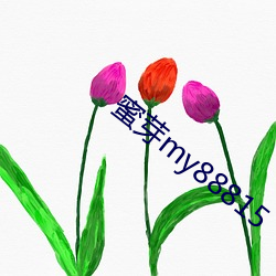 蜜芽(yá)my88815
