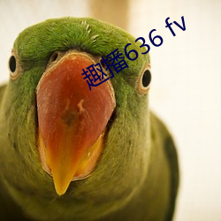 趣播636 fv