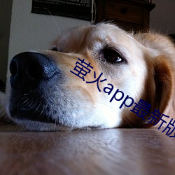 萤火app最新版下(xià)载(zài)