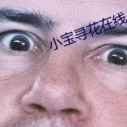 小宝寻花在(zài)线