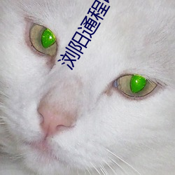 浏阳(yáng)通(tōng)程电影院(yuàn)