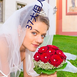 37大但人文艺术a