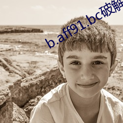 b.aff91.bc破解版蓝奏云 （失主