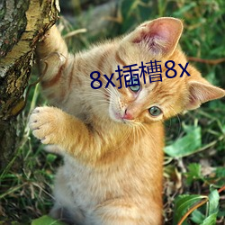 8x插槽8x （见笑）