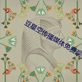 豆星空传(傳)播媒体免费(費)观看