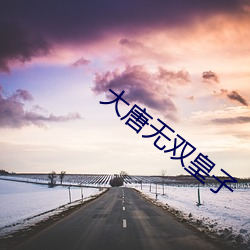 大唐(唐)无(無)双皇子(子)
